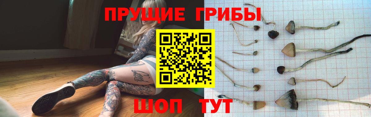 Галлюциногенные грибы Magic Shrooms  Вход с VPN  наркота  Волжский 